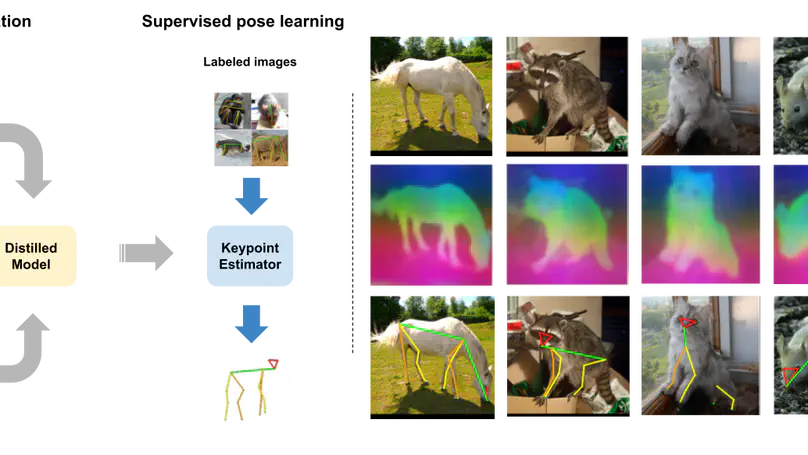 TARDIS-Pose: Targeted Distillation of Self-Supervised ViT features for Animal Pose Estimation